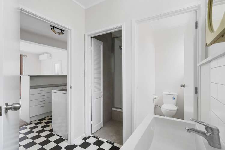 17 Alexander Street Kingsland_14