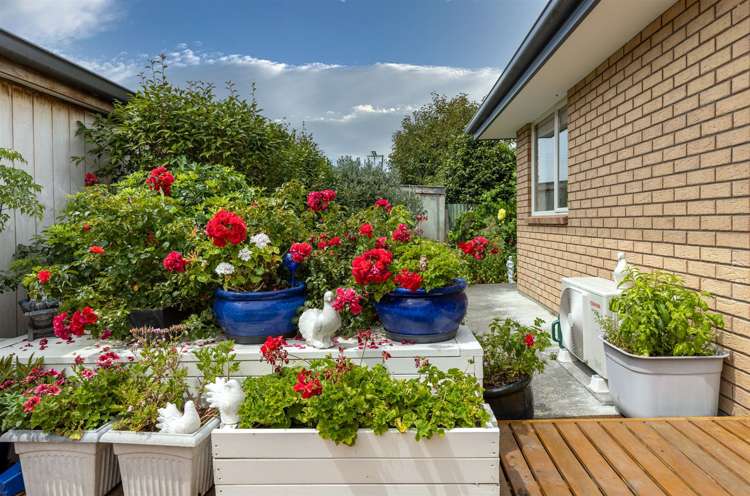 7a Ida Street Redwoodtown_17