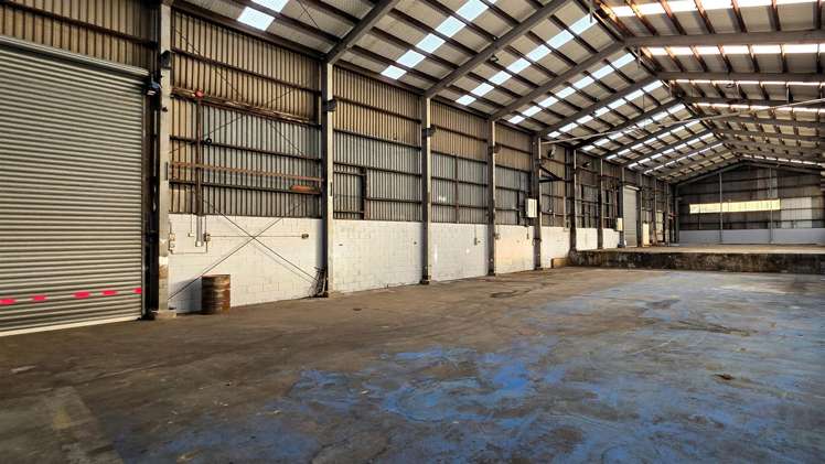 591 Rosebank Road Avondale_8