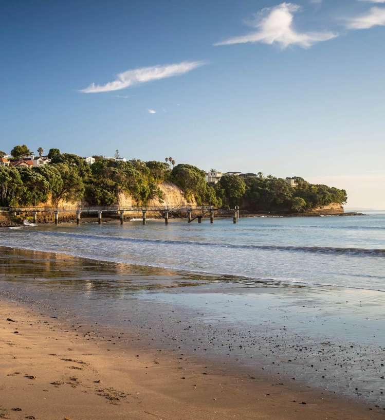 18 Surville Place Mairangi Bay_48