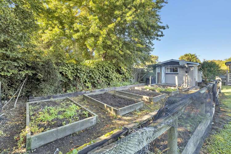 10 Cadman Street Cheviot_4