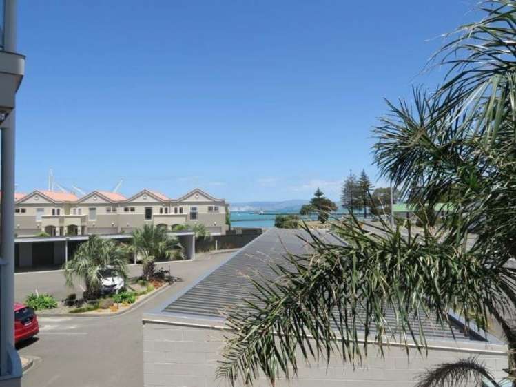 6/90 Dp Customhouse Street Gisborne_0