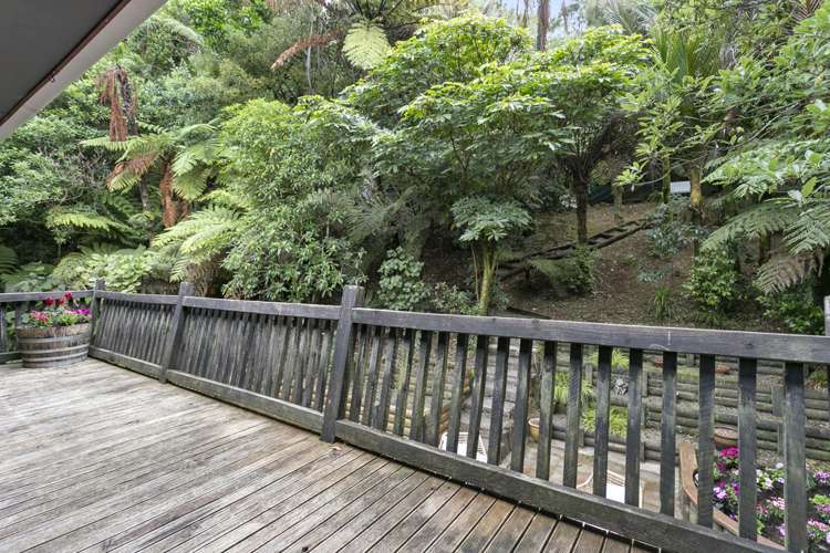 43 Waima Crescent Titirangi_11