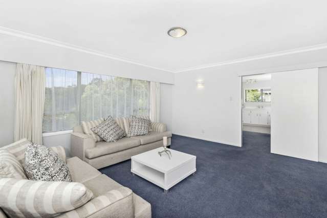 161c Edinburgh Street Pukekohe_2