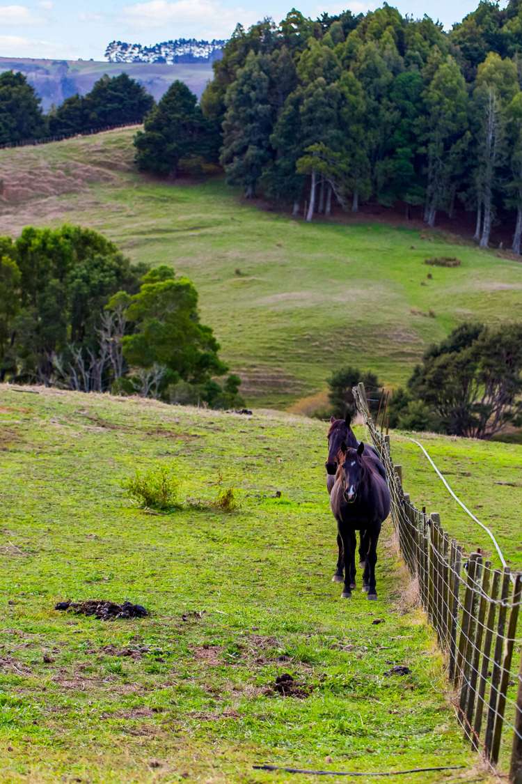 215 Allen And Eyre Road Onewhero_16