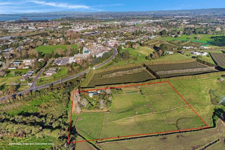 115 State highway 2 Katikati_25