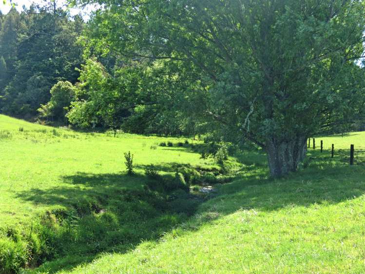 202 Knight Road Ruatangata_10