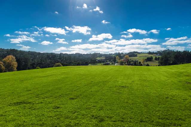 152 Mahoenui Valley Road Coatesville_4