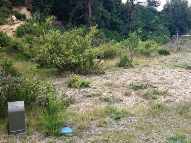 5 Hogburn Lane Naseby_1