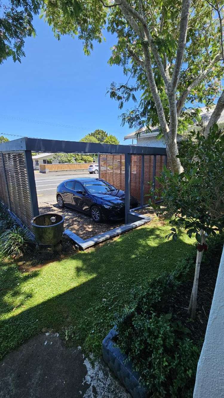 257 Carrington Street Vogeltown_14