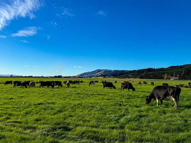 583 Pomahaka Road Pomahaka_3