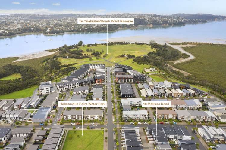 18 Mollusc Road Hobsonville_13