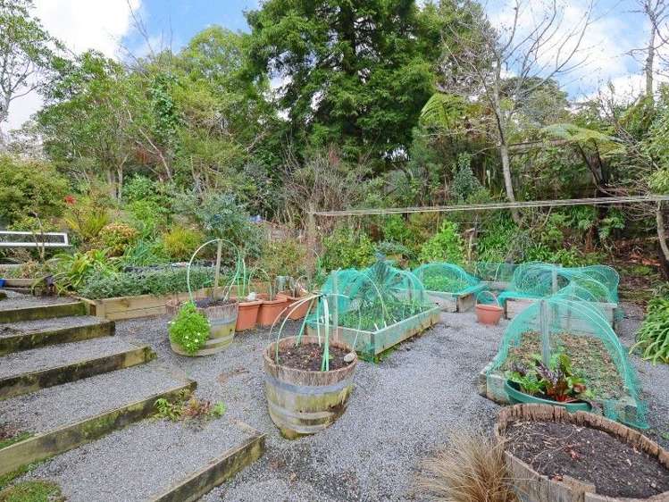 2b Goodwin Place Pinehaven_13