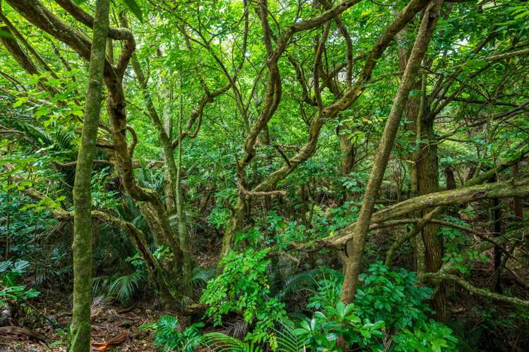 14 Tahunatapu Road Parua Bay_46