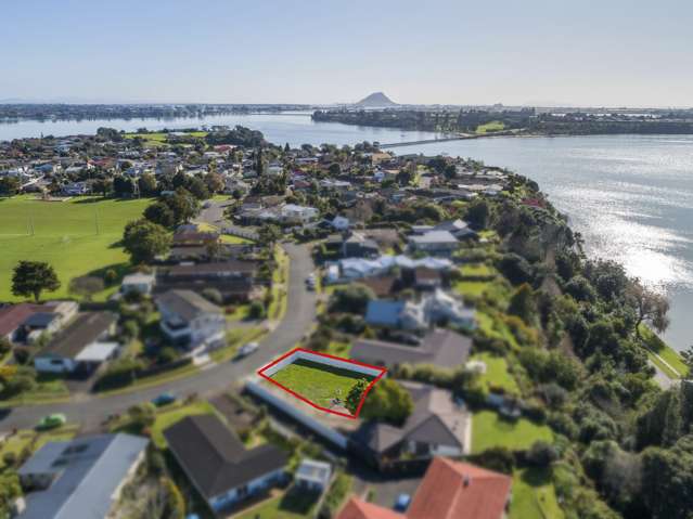 29a Te Hono Street Maungatapu_1