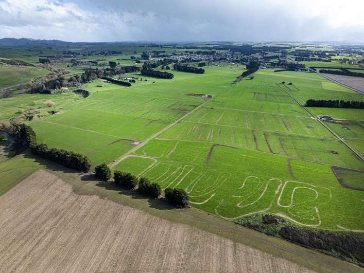 State Highway 2 Takapau_7