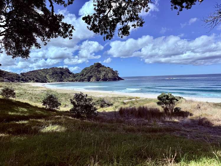 149B Sandhills Road Great Barrier Island_11