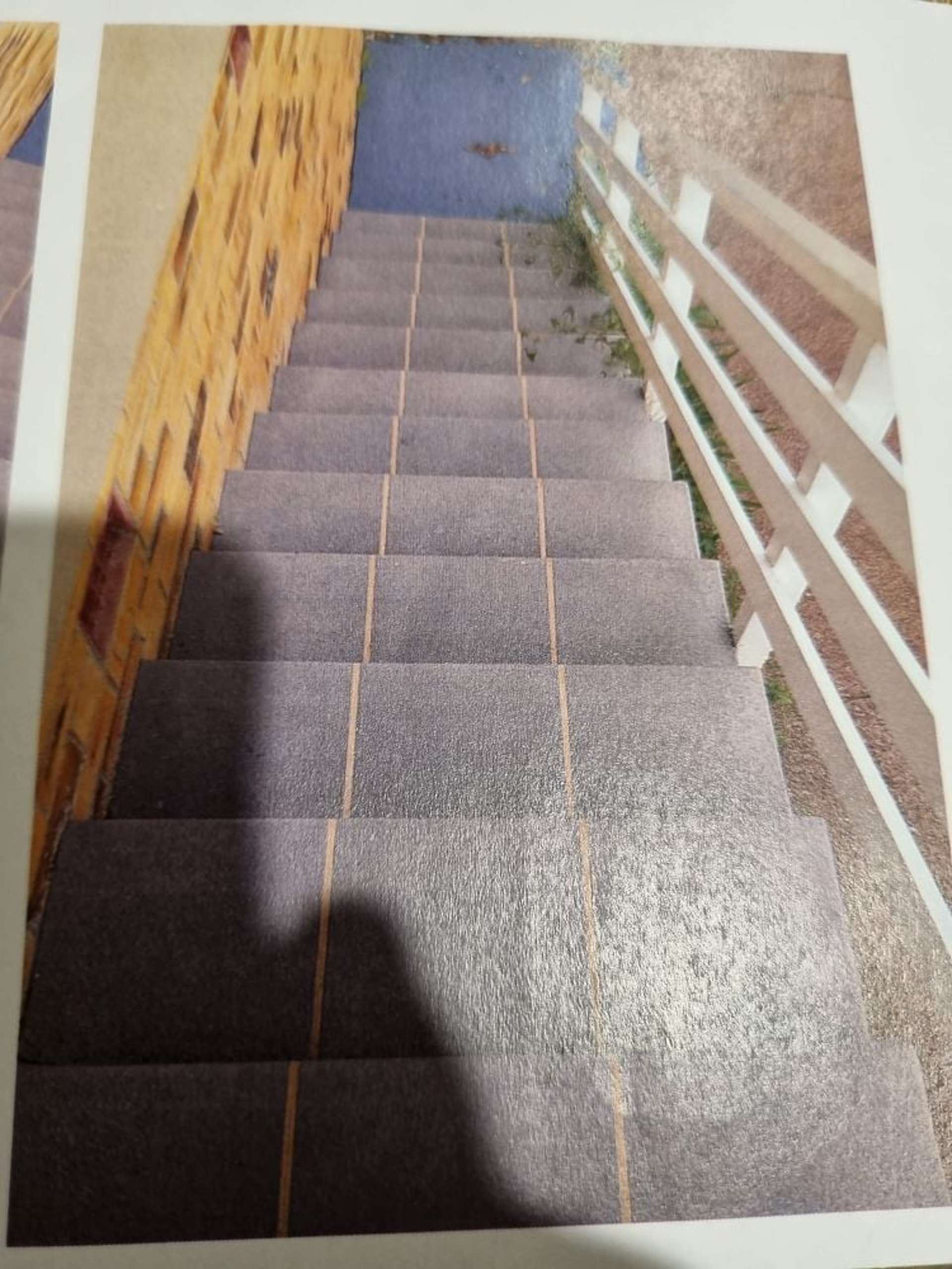 97 Hendry Avenue Hillsborough_0