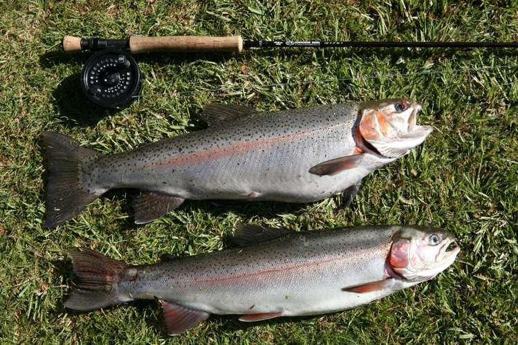 483 Spencer Road Lake Tarawera_44