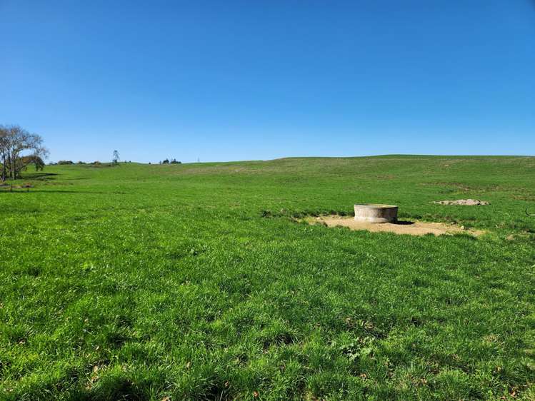 579 Hetherington Road Rotongaro_7