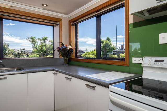 49 Harrison Street Allenton_2