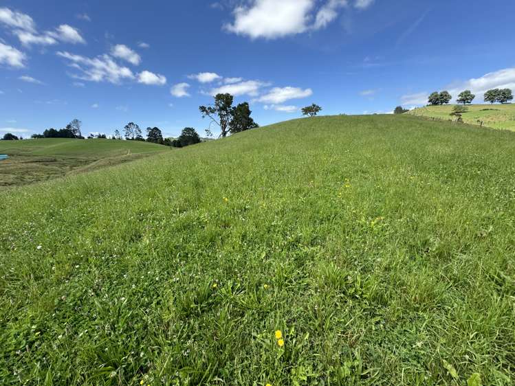 829 Honikiwi Road Otorohanga_36