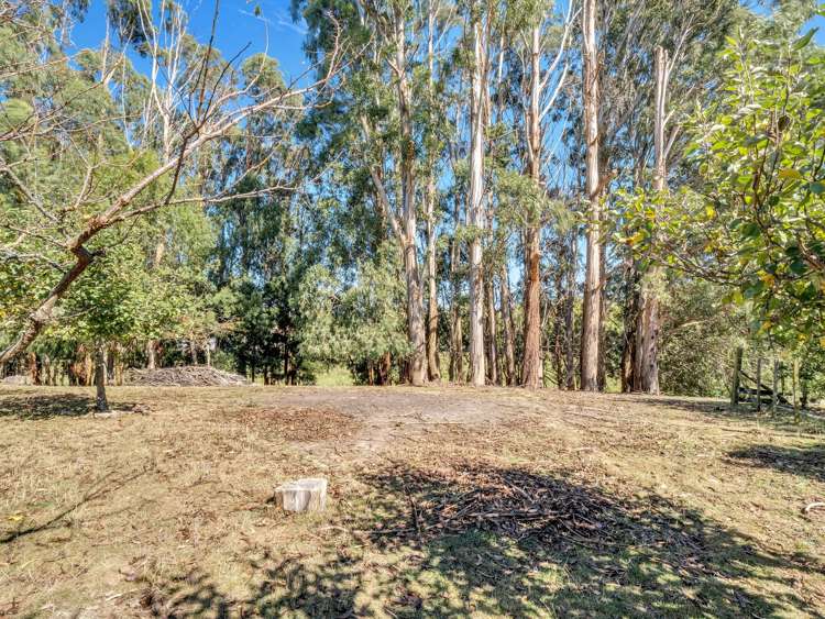 371 Tutaki Road Bunnythorpe_31