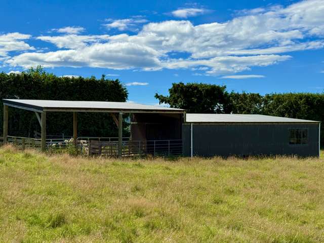 Shed with Land Opportunity