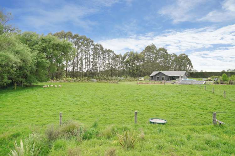 767 Lower Sefton Road Sefton_20