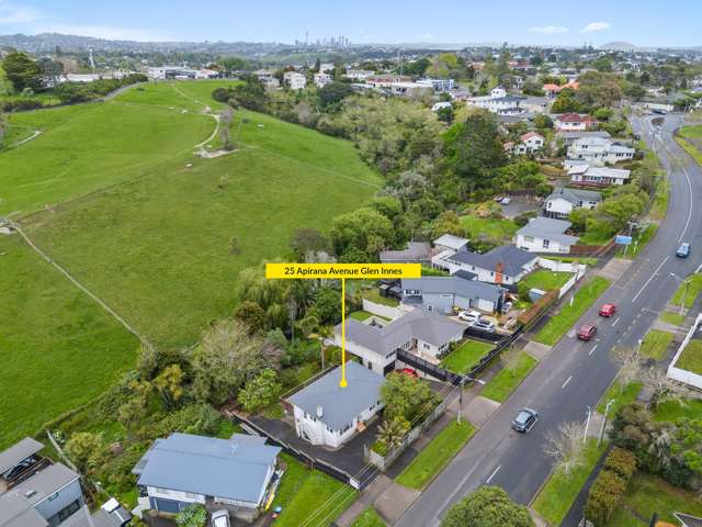 25 Apirana Avenue Glen Innes_3