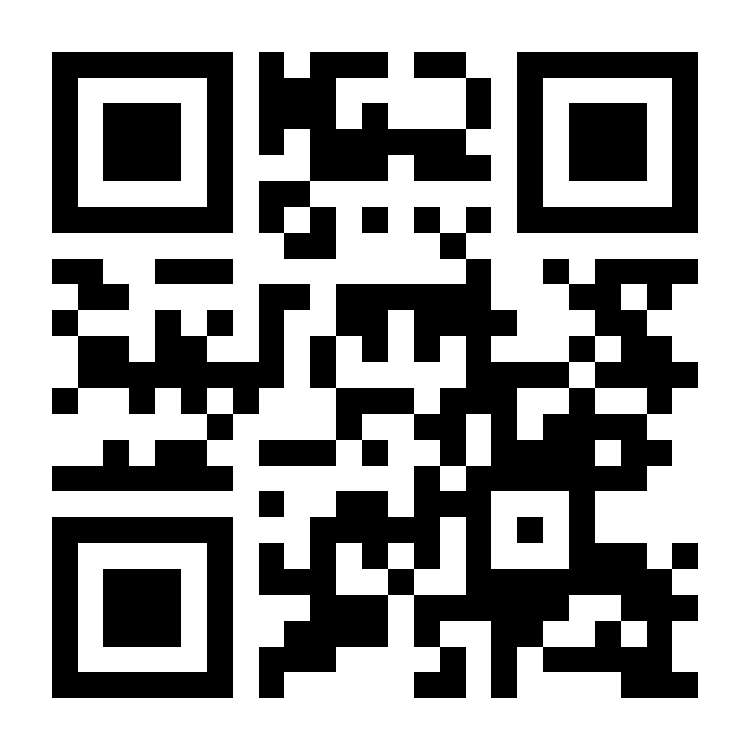 30 Norfolk Street Tamatea_15