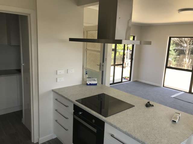 4 Olive Cr Papatoetoe_3