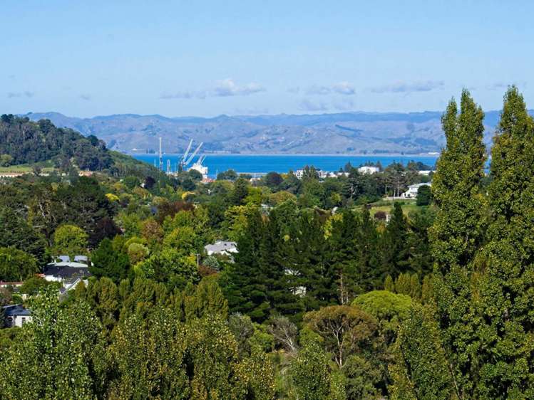 109 Darwin Road Outer Kaiti_9