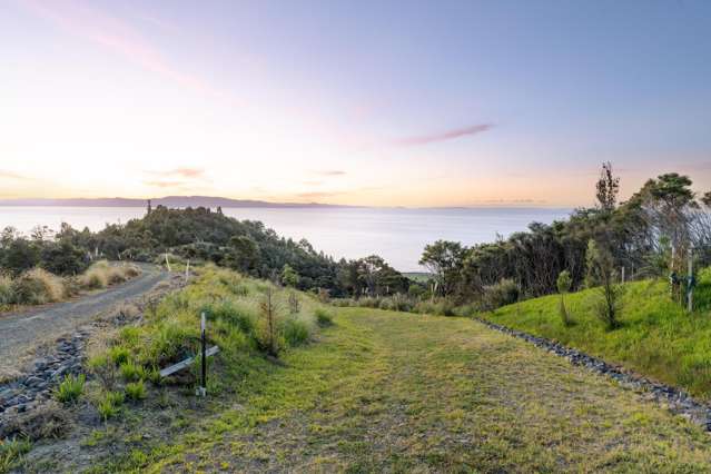 98 Tapu Rise Heights Tapu_4