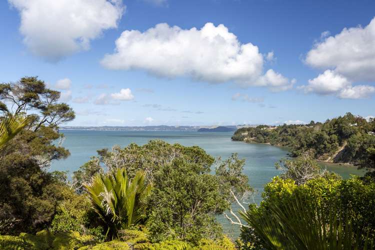 107a Tanekaha Road Titirangi_3