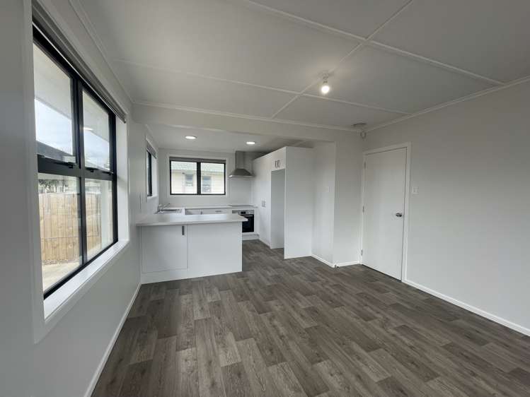 3/8 Bollard Road Tuakau_4