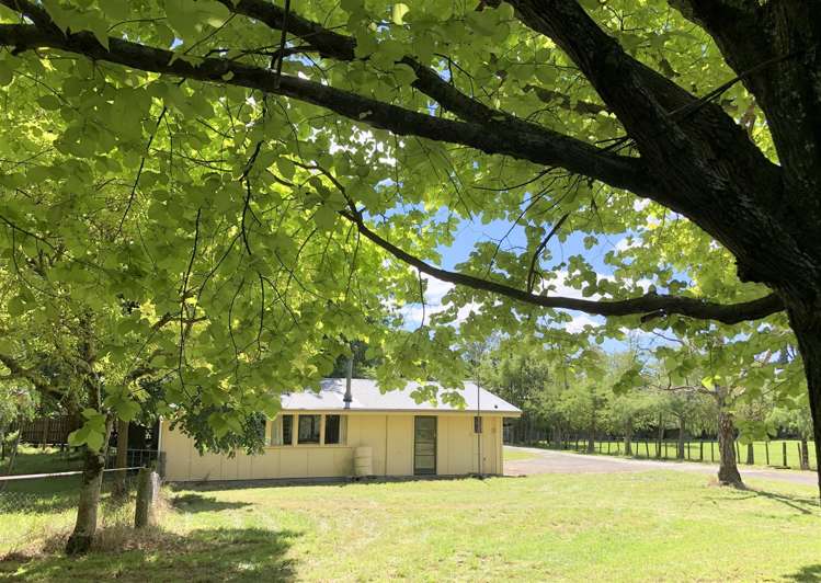 83 Porangahau Road Waipukurau and Surrounds_22