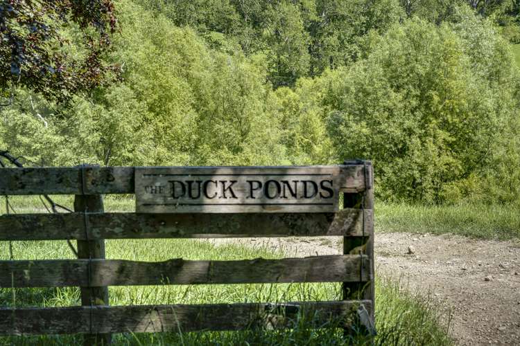 2412 Kahuranaki Road Elsthorpe_9