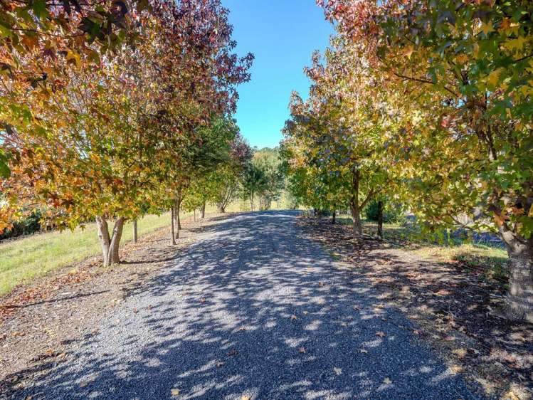 112 Wakelin Road Kerikeri_15