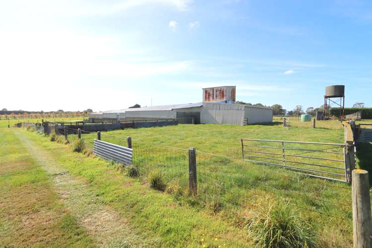 67 Lorne Dacre Road Lorneville_8