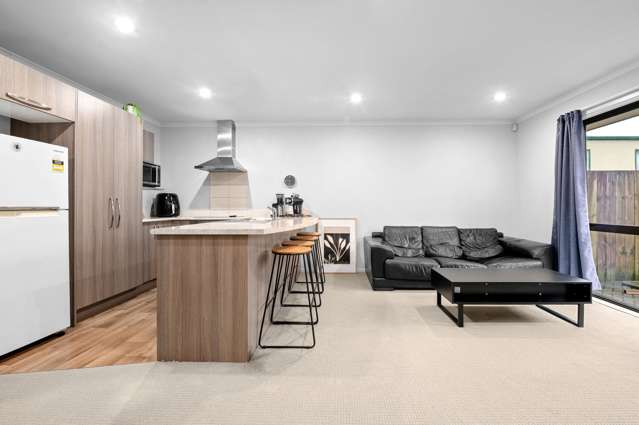 31c Willoughby Street Whitiora_1