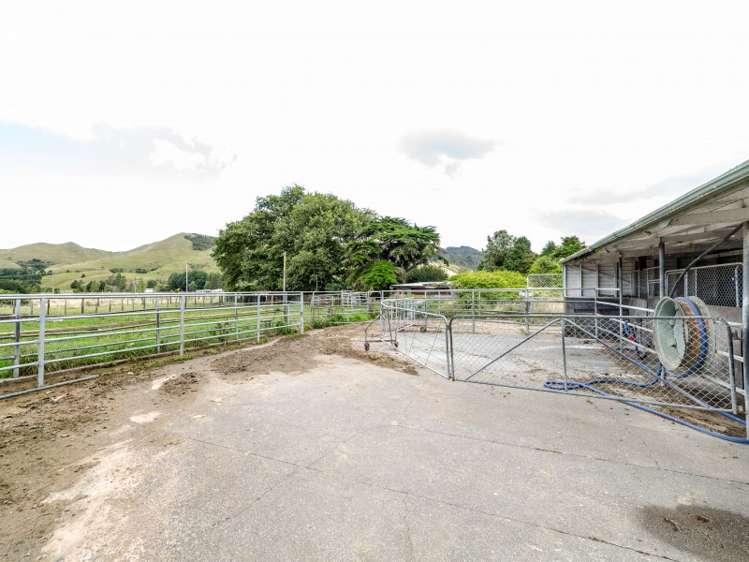 85274 State Highway 2 Eketahuna_5