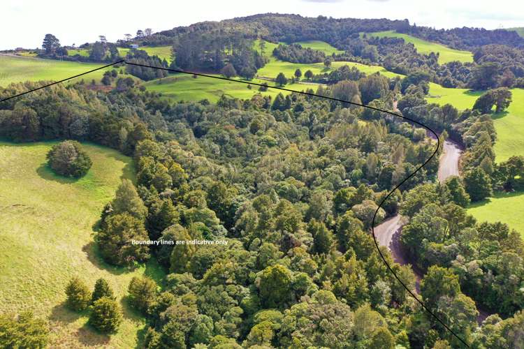 Lot 1 Katui Road Dargaville Surrounds_0