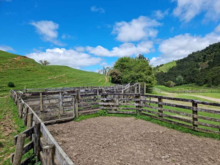 852 Mangawara Road Tahuna_6