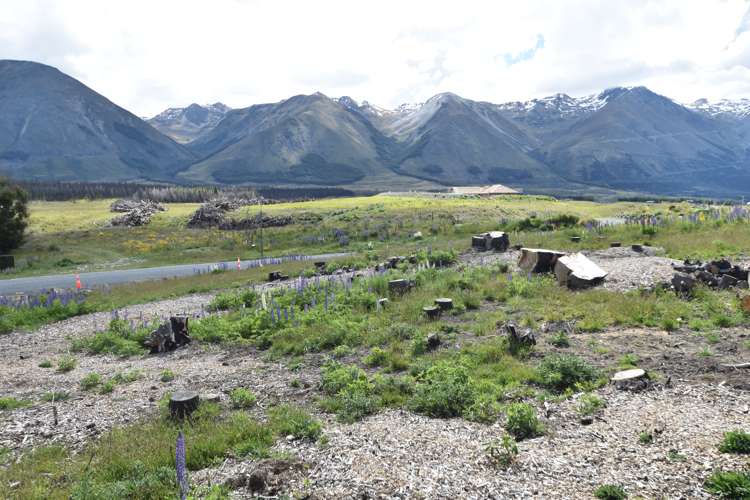 33 Ohau Drive Lake Ohau_4