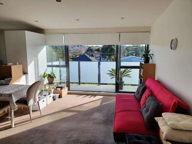 38 Aranui Road Mount Wellington_1