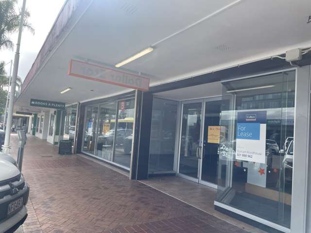 74 Grey Street, Tauranga Dunedin Central_2