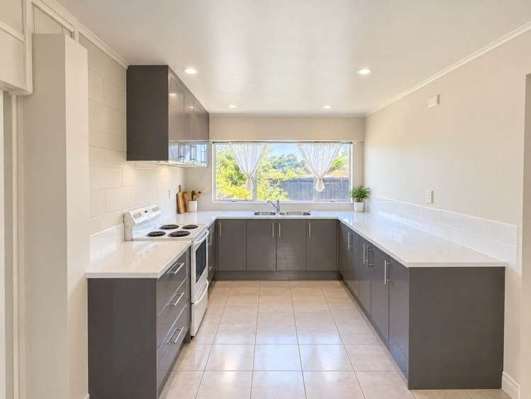 142 Young Access Dairy Flat_1