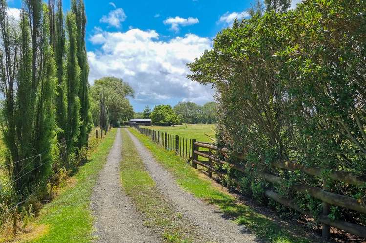 2179 State Highway 16 Helensville_21