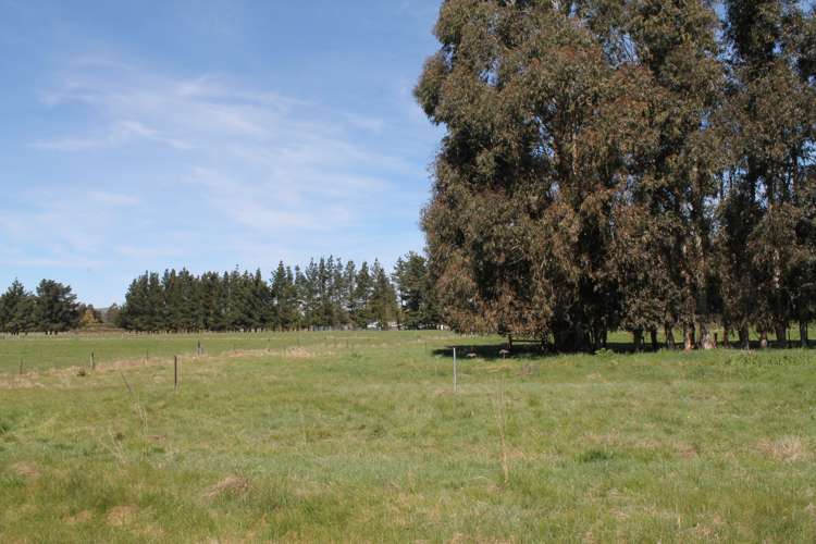 47 Munro Road Cheviot_17